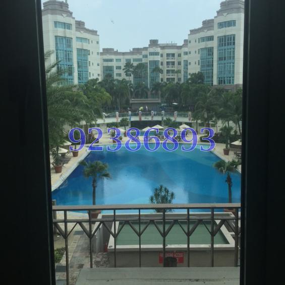 Ballota Park Condominium (D17), Condominium #84260222